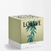 Büyük Scent of Marihuana Mum