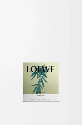 Küçük Scent of Marihuana Kokulu Mum