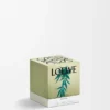 Küçük Scent of Marihuana Kokulu Mum Küçük Scent of Marihuana Kokulu Mum
