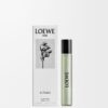 Loewe Aire Sutileza 15 ml şişe Loewe Aire Sutileza 15 ml şişe
