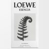 Loewe Esencia EDP 150 ml Loewe Esencia EDP 150 ml