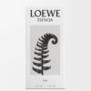 Loewe Esencia Elixir 50 ml Loewe Esencia Elixir 50 ml
