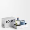 loewe Parfümler Oda Kokuları Selvi Kozalakları Hediye Seti loewe Parfümler Oda Kokuları Selvi Kozalakları Hediye Seti