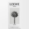 Loewe Solo Cedro 50 ml Loewe Solo Cedro 50 ml