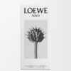 Loewe Solo EDT 50 ml Loewe Solo EDT 50 ml