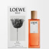 Loewe Solo Ella EDP 50 ml Loewe Solo Ella EDP 50 ml