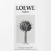 LOEWE Solo Vulcan Eau de Parfum 100 ml LOEWE Solo Vulcan Eau de Parfum 100 ml