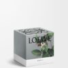 Medium Hanımeli Candle Medium Hanımeli Candle