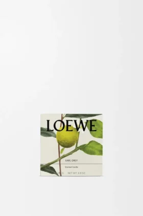 Midi Earl Grey Kokulu Mum