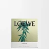 Orta Boy Scent of Marihuana Kokulu Mum Orta Boy Scent of Marihuana Kokulu Mum