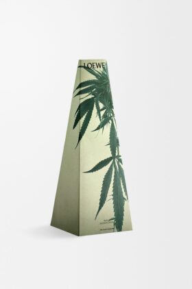 Scent of Marihuana mumluk Scent of Marihuana mumluk