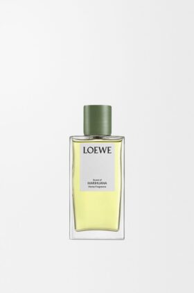 Scent of Marihuana Oda Spreyi Scent of Marihuana Oda Spreyi