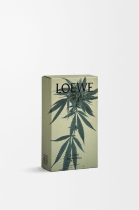 Scent of Marihuana Oda Spreyi Scent of Marihuana Oda Spreyi